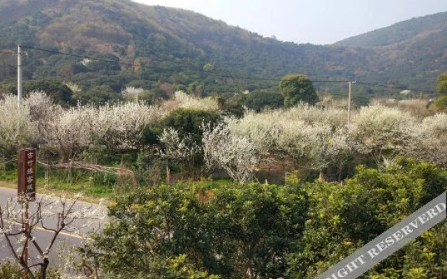 Guzhuyuan Inn