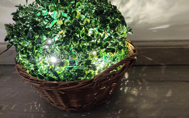 Kodikas kaksio keskustassa