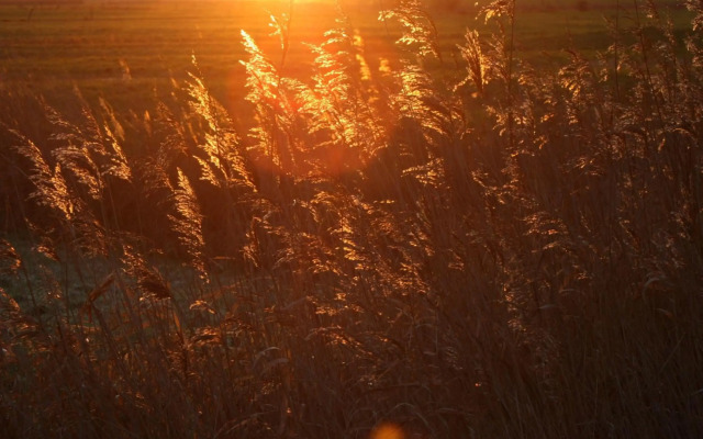 Ferienwohnung-SonnenMeer