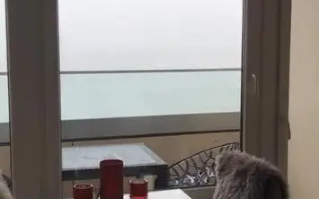 Alte Teestube Appartement 3 Penthouse