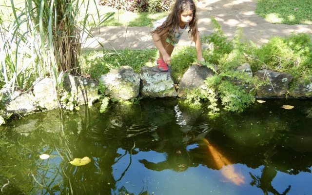Pousada Coqueiro Verde