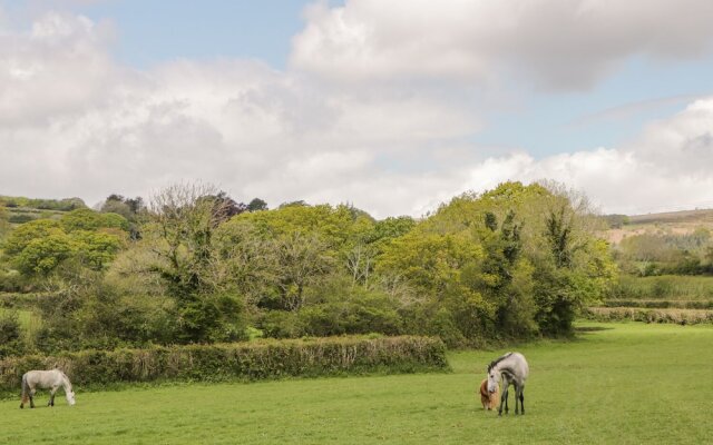 Higher Whiddon Farm Whiddon Well
