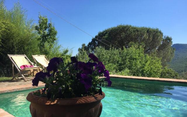 Podere di Maggio - Glamping tent 4