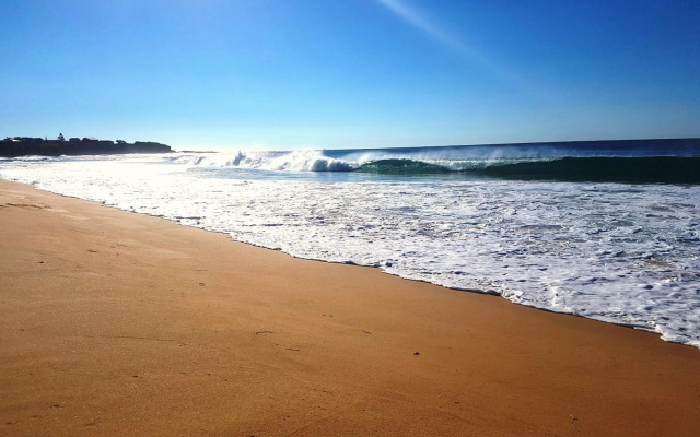 Paradise by the Beach