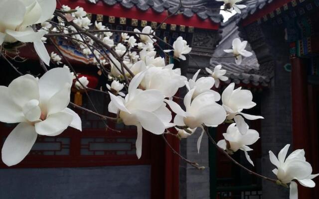 Scholar Tree Courtyard Hotel - Beijing Hebei Guest Hotel