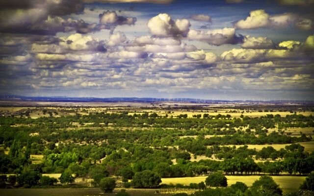 Posada Real del Buen Camino