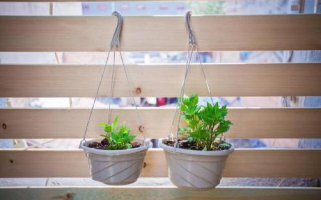 Xing Long No 37 Hostel