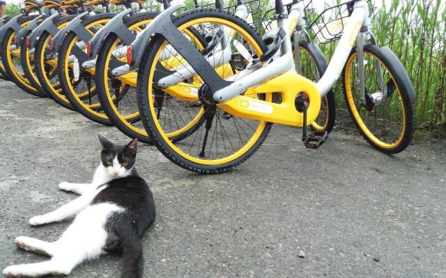 Cat Sky Country Homestay