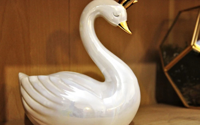 Swan Lake Manchester