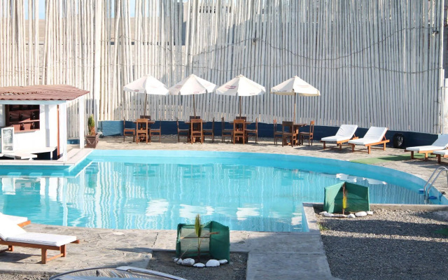 Los Delfines de Chicama