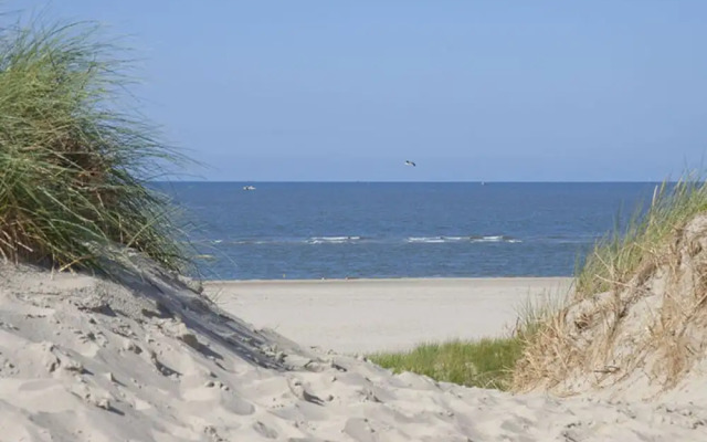 Dandelion Modern Retreat