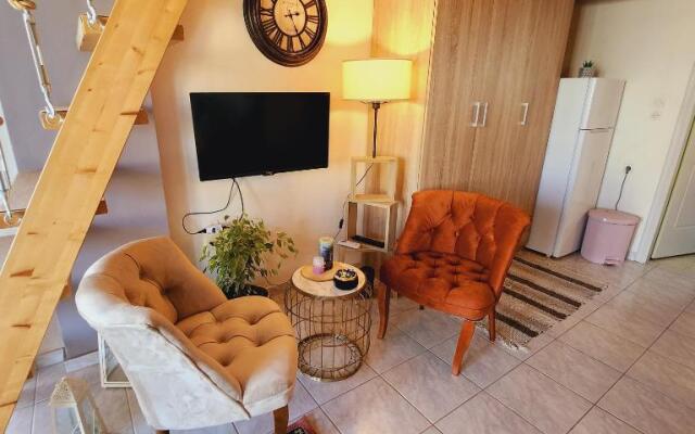 Stylish Luxury Loft Apartment Sofia