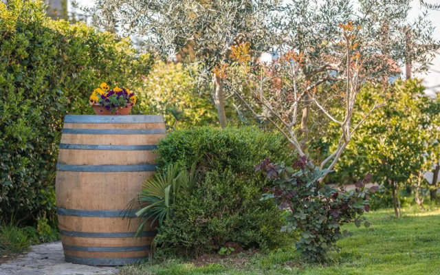 Wine Garden Holiday Home