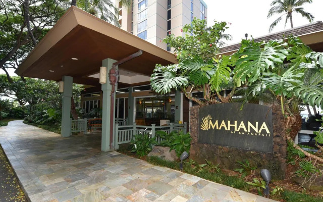 Mahana 501