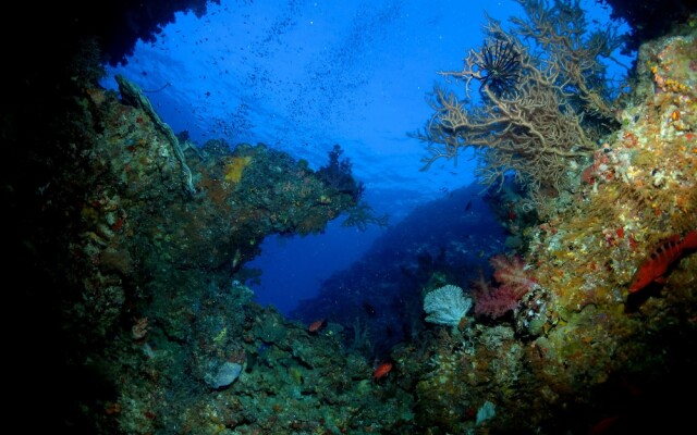 Viani Bay Resort at Dive Academy Fiji