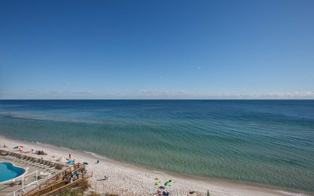 Tropical Winds by ALBVR