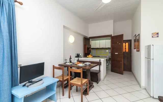 Trilo Super Standard 205 Ginepro
