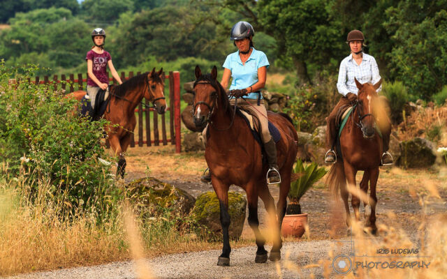 Country Hotel Mandra Edera