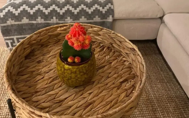 Stylish 2-bedroom Apartment in London - Sleeps 4