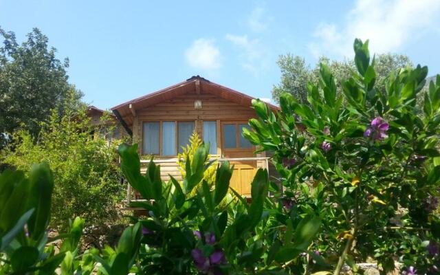 Olive Garden Kabak