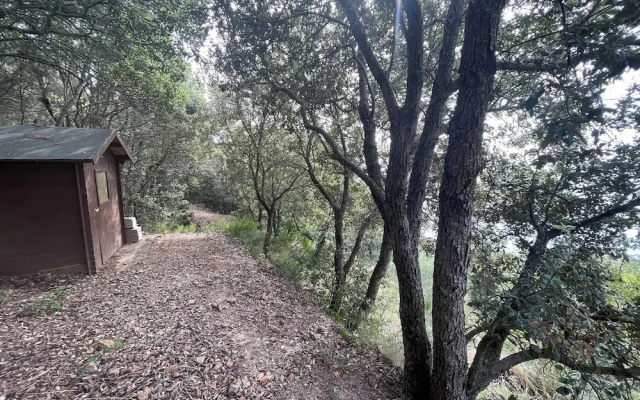 Wildsunset - Villa Cala Moresca