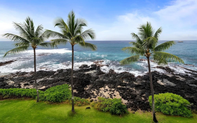 Kona Reef D32