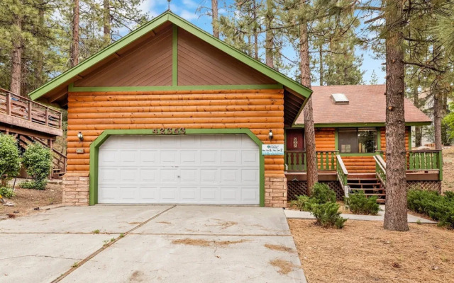 Pines AND Needles #1454