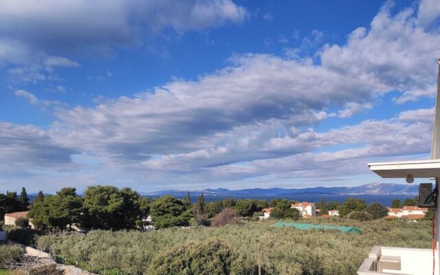 Apartment Cvita