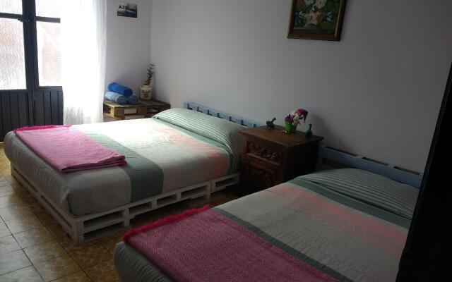 Casa A29