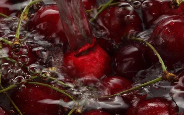 Hospitales del Pellegrino Trastevere