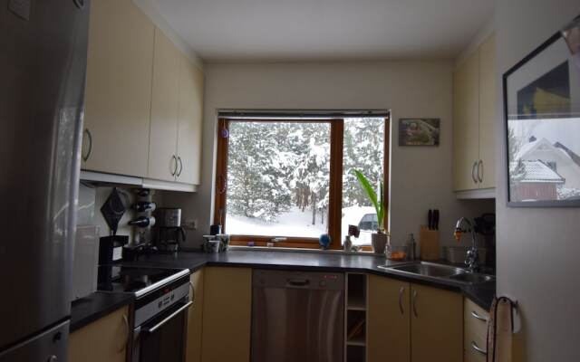 Solferie Holiday Home Odderheisløyfen