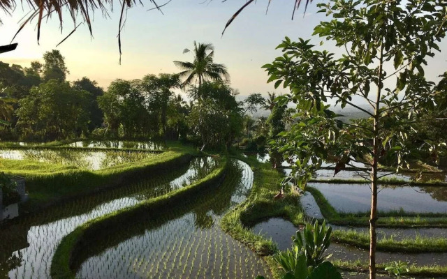Villa Pondok Apsari