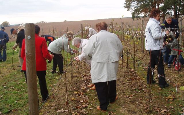 Adler Golf-& Tagungshotel