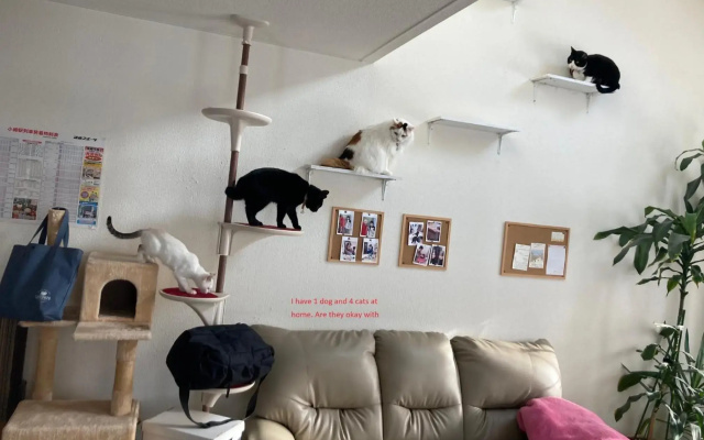Otaru - House / Vacation STAY 57190