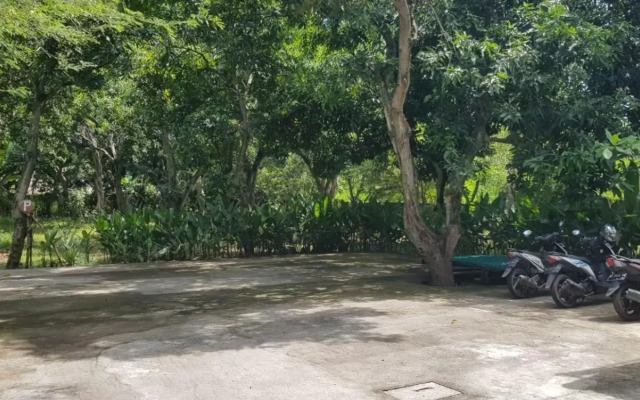Mango Tree Inn