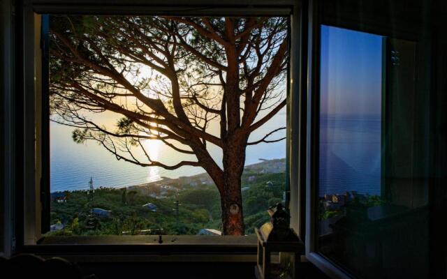 Olivenere Villa Agriturismo