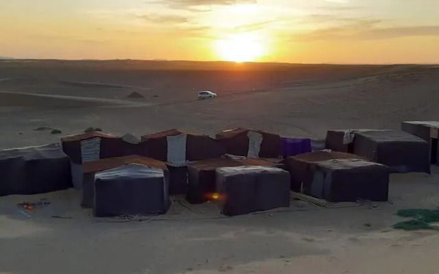 Desert Queen Camp
