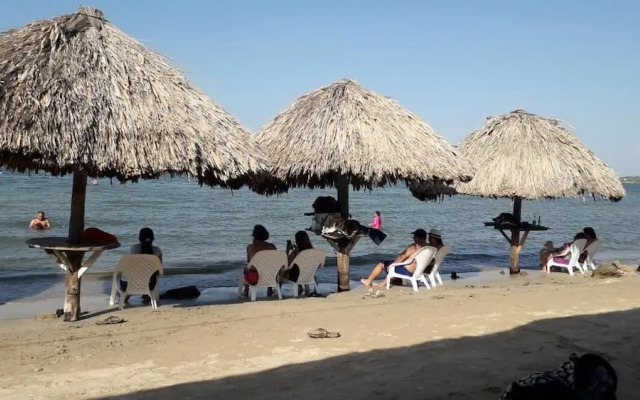 La casa mono cuco Hostel