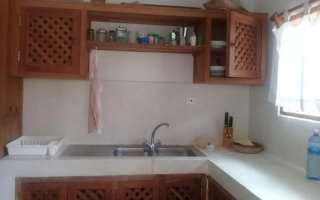 Lion Villa