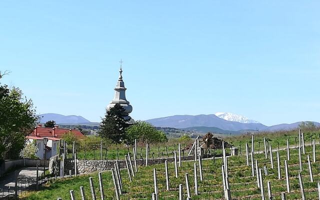 Tennis & Golf Hotel Höllrigl