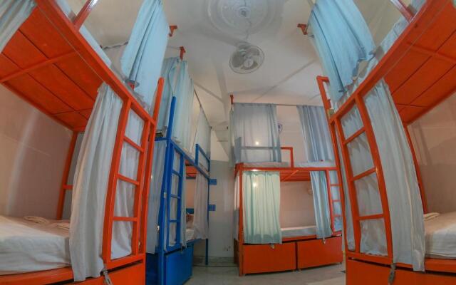 Live Free Hostel