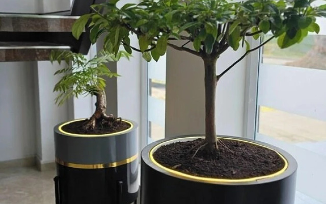 Waldor's Hotel Boutique