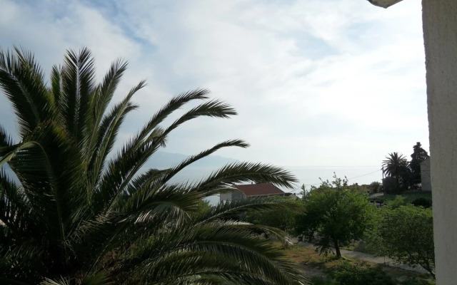 Guest House Lidus