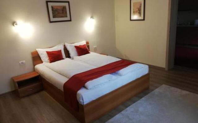 Vila Nicopole - art & wine