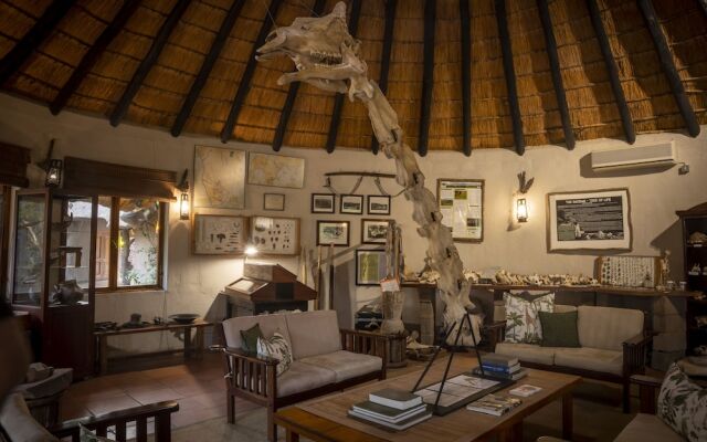 Mashatu Lodge - Mashatu Game Reserve
