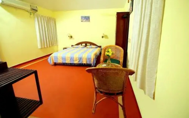 Contour Jungle Resort