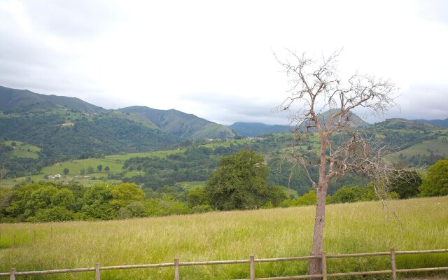 La Torea