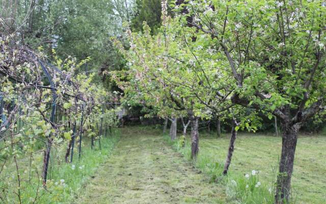 La Tinaia Del Glicine