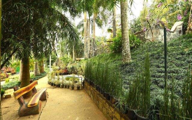 OYO 11516 Wayanad Royal Stream