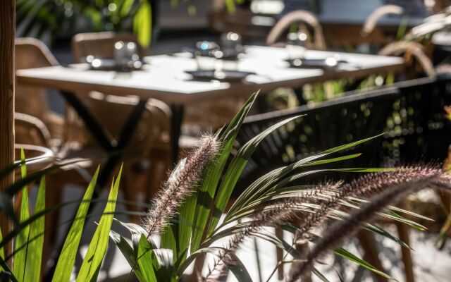 Indigo Inn Casa - Adults Only